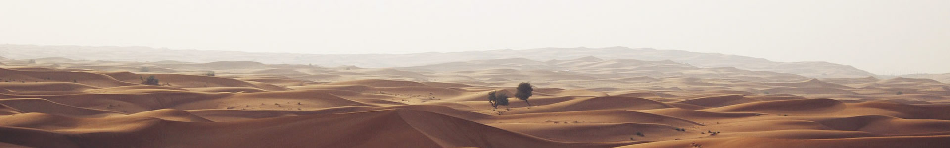 ϺԶƼ޹˾